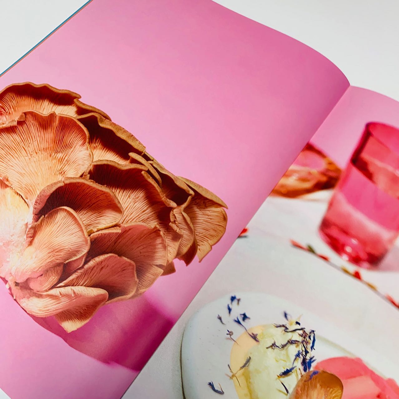 High-quality leaflet with vibrant colours and high-resolution photos, Premium print production