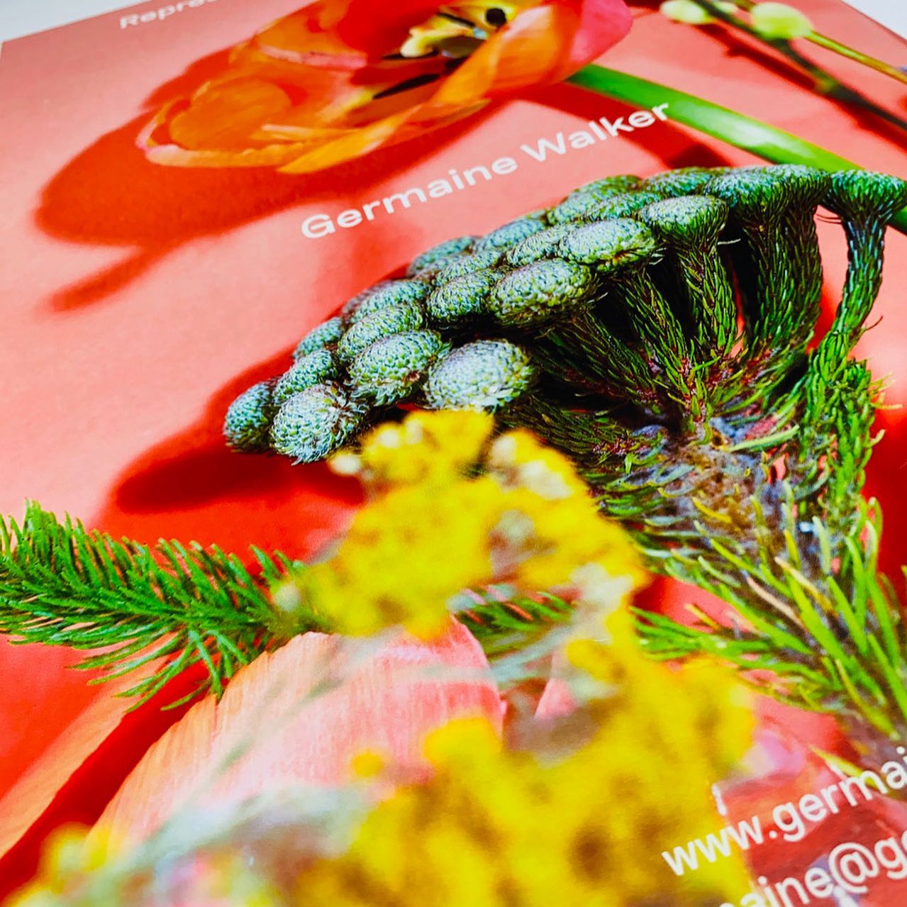 Close-up of premium printing with vibrant images and high-resolution colour reproduction, Print design London